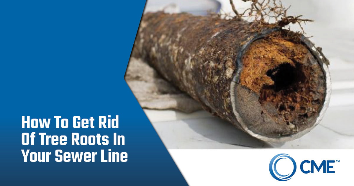 How To Remove Tree Roots In Sewer Lines - CME Sewer Repair.