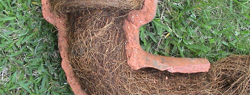 Damaged terracotta sewer pipe