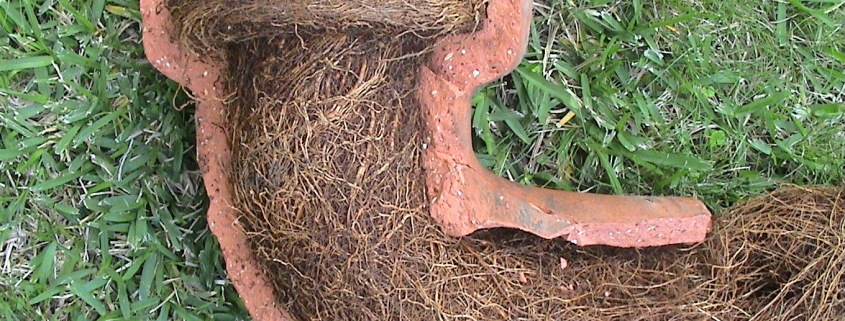 Terracotta sewer pipe repairs Damaged terracotta sewer pipe