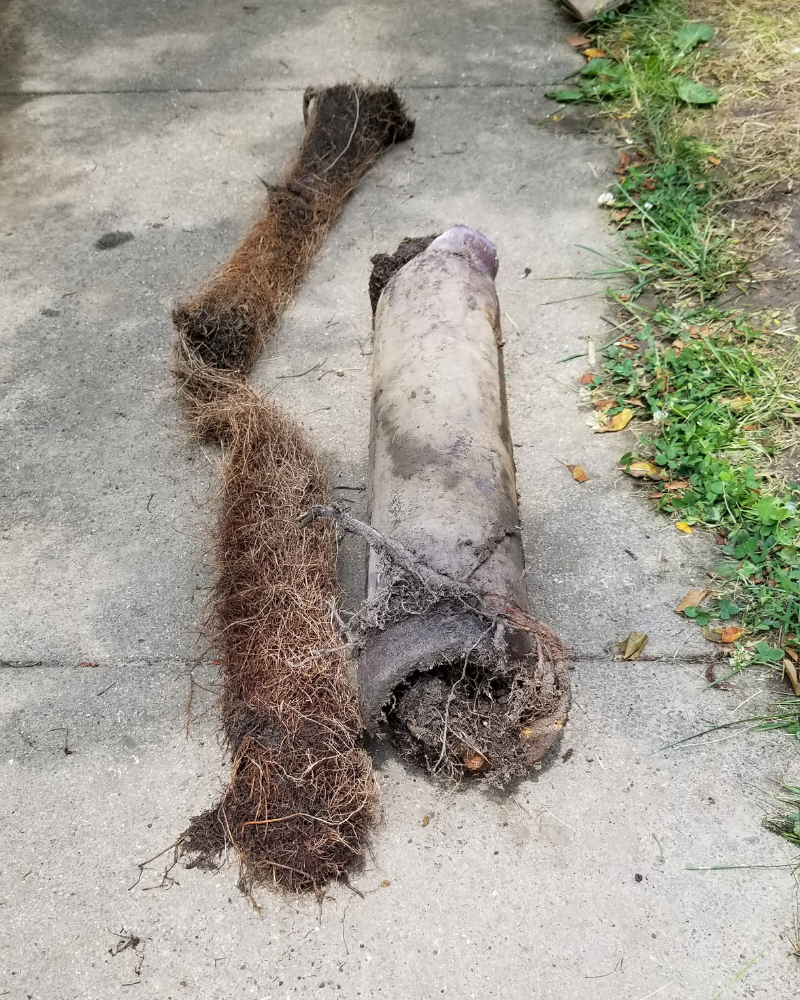 Root Removal From Sewer Lines